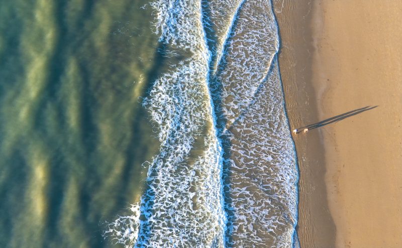 Long Shadows by a Sea of Green- Ltd Ed Print