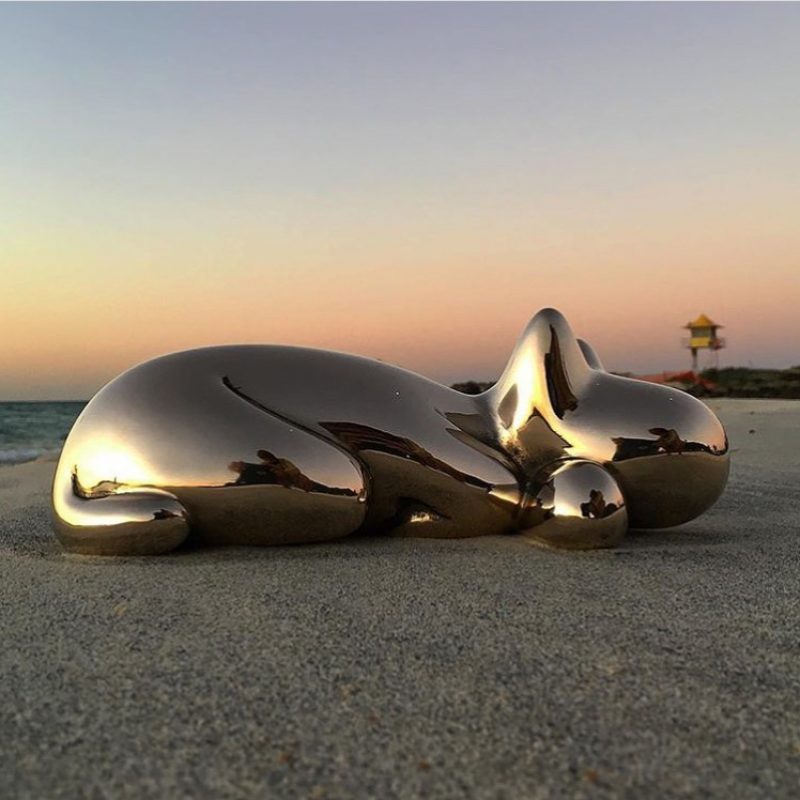 56ca239c 2081 4ded B206 72ae0d634d4d 800x800