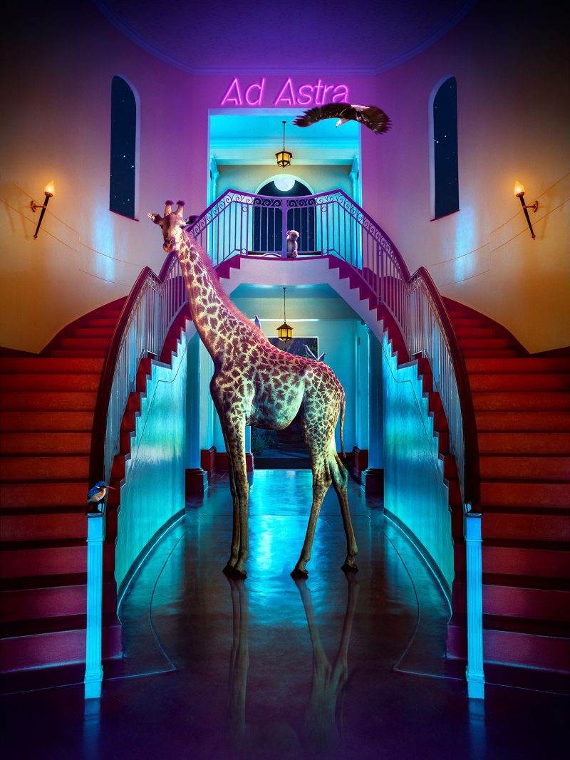 Africa Ii Ad Astra 2000px 800x1067