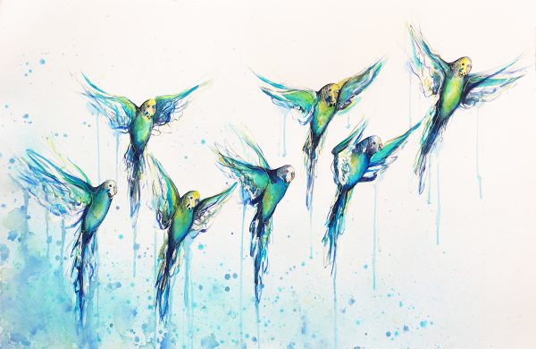 Artist Leni Kae A Flying Flock To Give In 2020 (budgies) 2 100x68cm 1800px