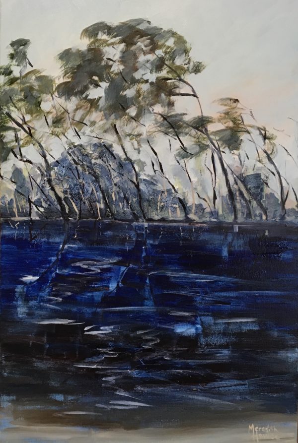 Bummiera Brown Lake Stradbroke By Meredith Howse