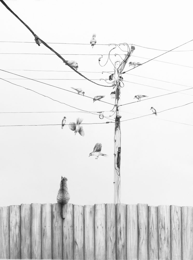 Maestrowebcandaceslager 800x1079