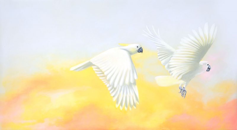 Maria Harding Fly With Me Main2 800x438