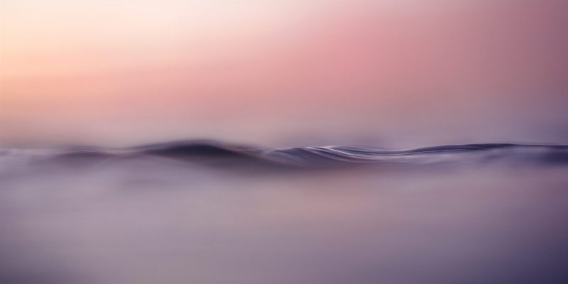 Sl.100.0125 Ted 800x400