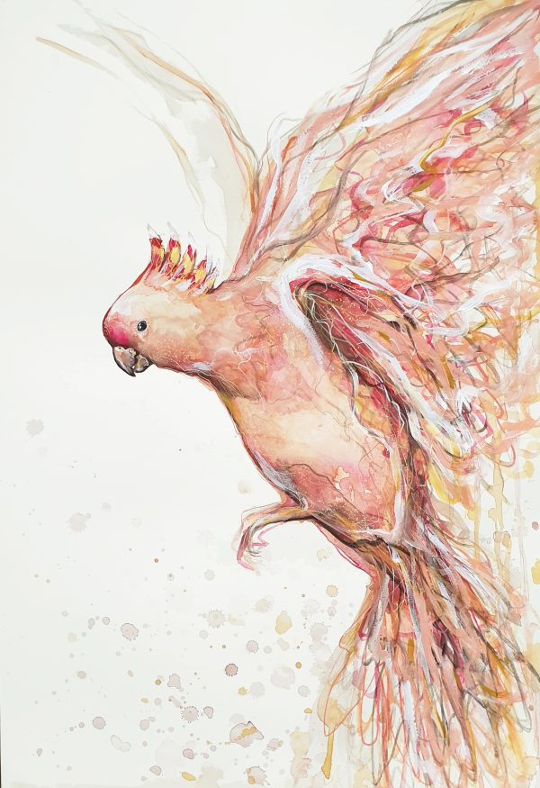 Sydney Artist Leni Kae Major Mitchell Cockatoo Bird Painting Art 2