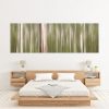 Tranquil Forest Canvas Print Bernadette Meyers