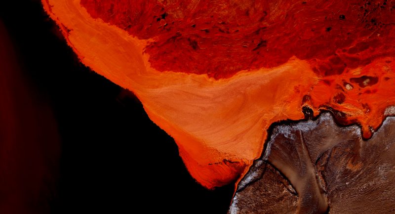 Waynequilliam18djiwarr 6 800x433 (1)