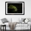 Framed Fern