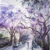Jacaranda