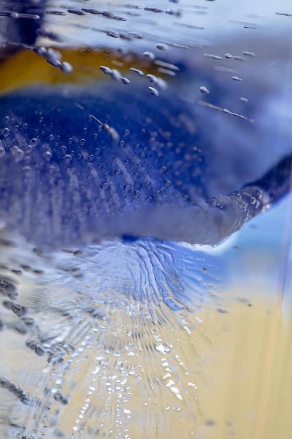 135017834 10158263689172885 7986395973789870192 N