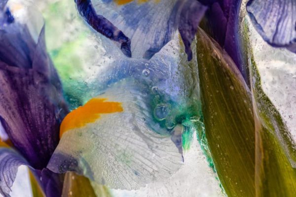 136137911 10158263689057885 5379598568951569119 N