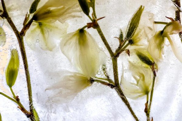 136785016 10158263689587885 2703881349654563339 N