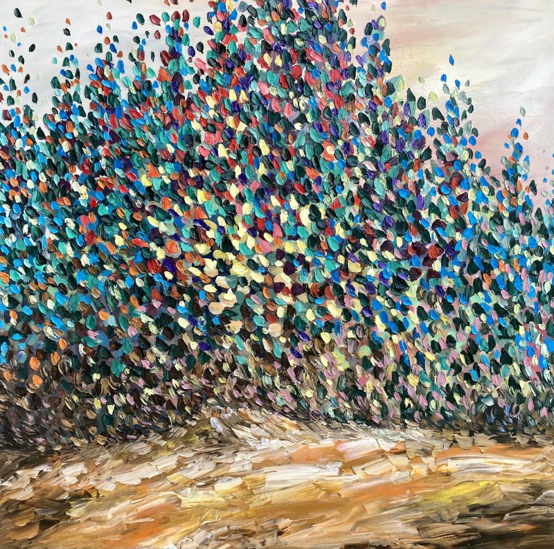 Colours of the Forest