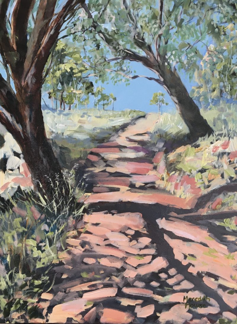 Trail of Mount Painter