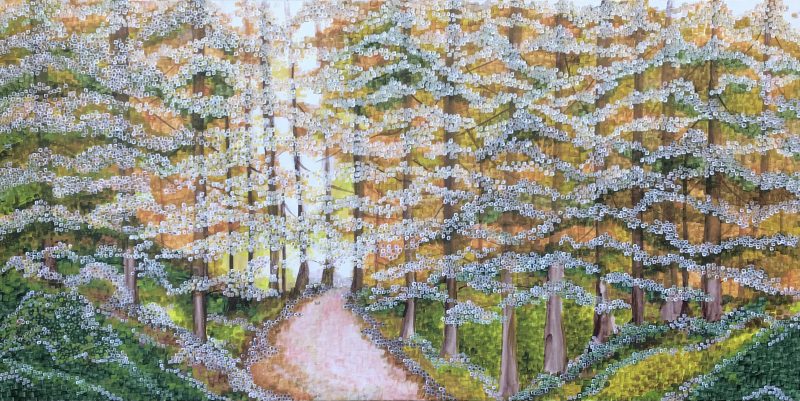 Sunshine through the trees