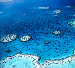 Blue Painting Petra Meikle De Vlas13