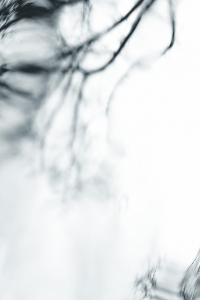 Branch Ripples – Ltd Ed Print