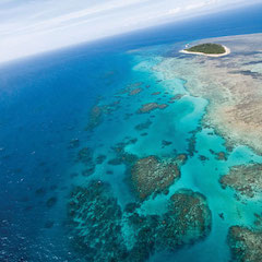 Buildup Coral Great Barrier Reef Australia Coast
