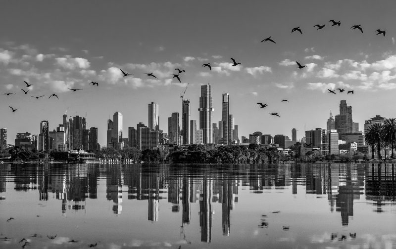 Skyline Reflections – Black and White