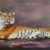 Clare Riddington Jones, Regal Feline, Water Based Oils On Canvas, 150cm X 60cm