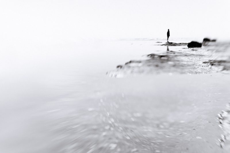 Contemplative – Ltd Ed Print