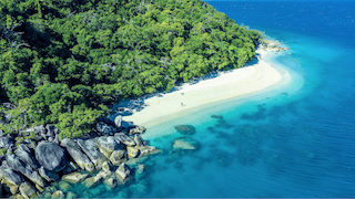 Large Framed Art Petra Meikle De Vlas Copy