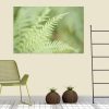 Lush Fern Canvas Print Bernadette Meyers Art Lovers Australia