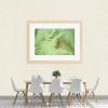 Lush Fern Framed Print Bernadette Meyers Art Lovers Australia