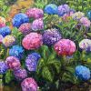 Marcella's Hydrangeas