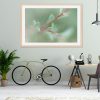 New Growth Framed Print Bernadette Meyers Art Lovers Australia