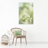Queen Anne's Lace Canvas Print Bernadette Meyers Art Lovers Australia