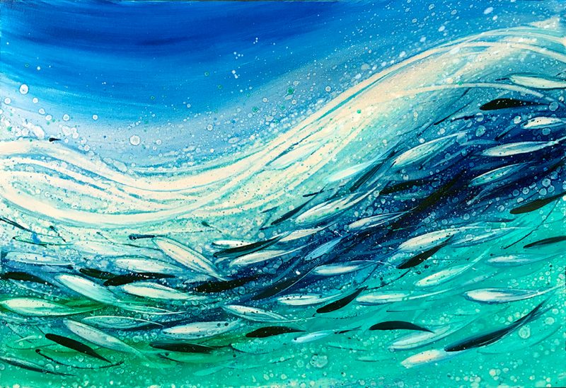 Shimmering In The Shallows