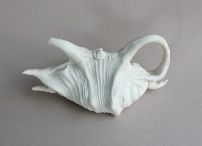 Spider Shell Teapot