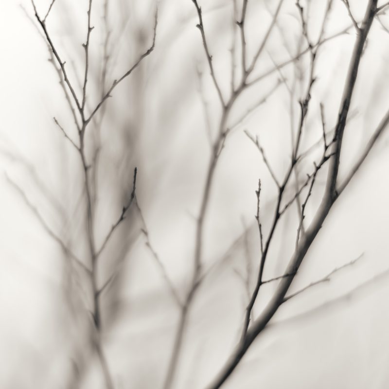 Still 2 — Ltd Ed Print