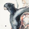 Sydney Artist Leni Kae Close Up Flight Of The Red Tailed Black Cockatoo Watercolour Bird Painting 56x76cm 1000px