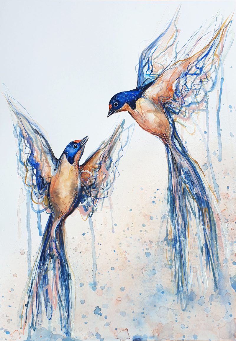 Dance of the Swallows