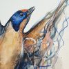 Sydney Artist Leni Kae Zoom Dance Of The Swallows Bird Art A2 Original 