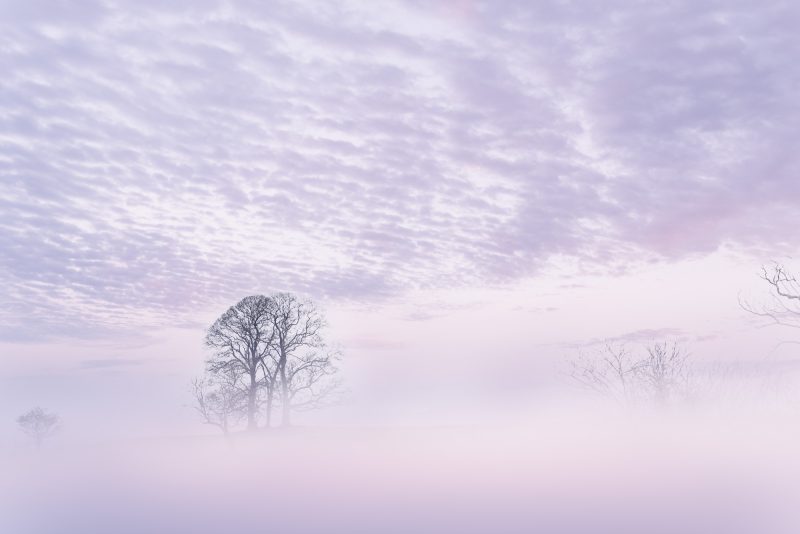 Winter Daydream – Ltd Ed Print