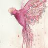 Artist Leni Kae Flight Of The Galah 56x76cm Jan2021 V2