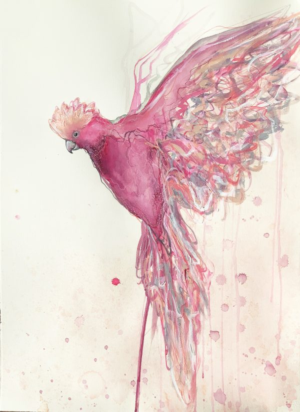 Artist Leni Kae Flight Of The Galah 56x76cm Jan2021 V2