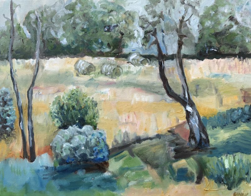 Crystal Lake Landscape