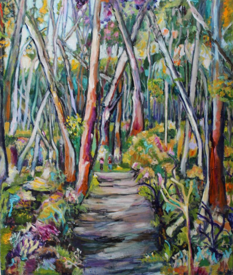 Forest Walk – Mylor Conservation Park