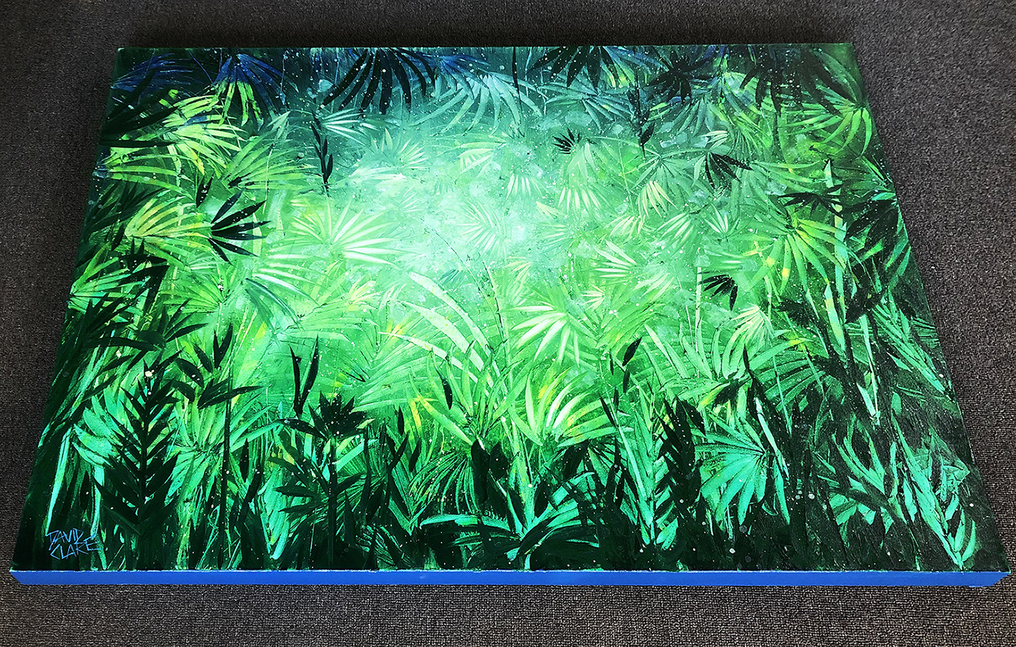 Lost In The Tropics Bottom Lr