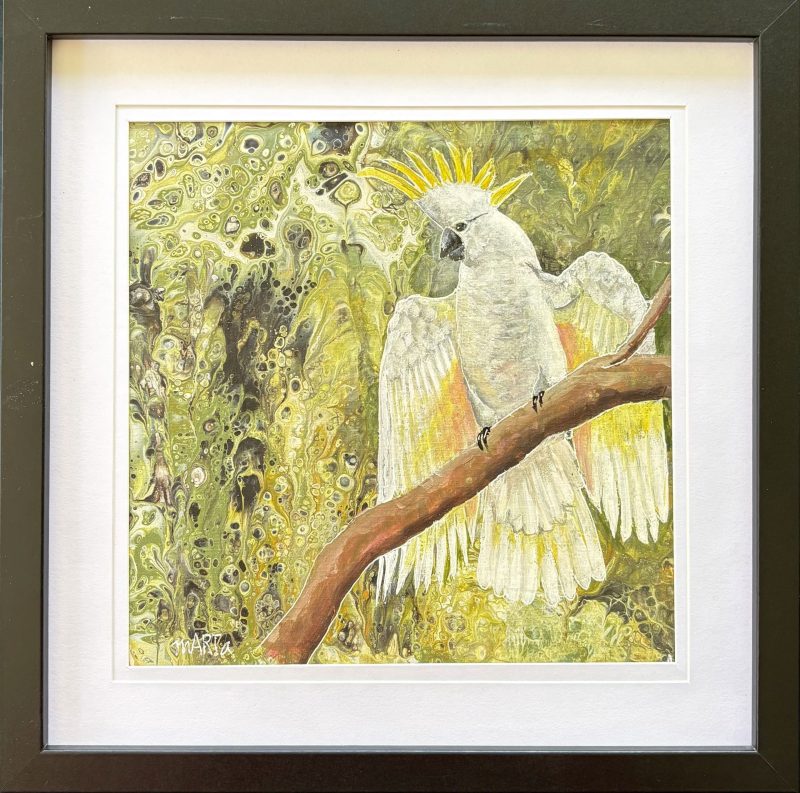 Yellow Crested Cockatoo