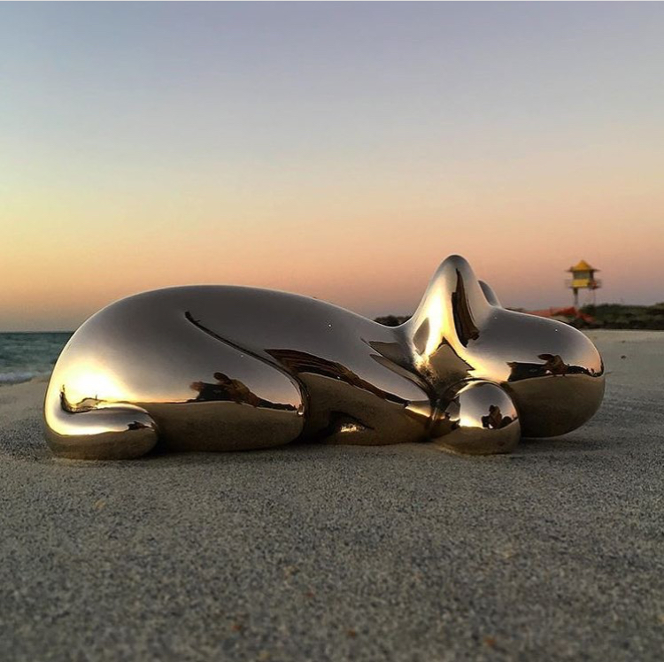 56ca239c 2081 4ded B206 72ae0d634d4d