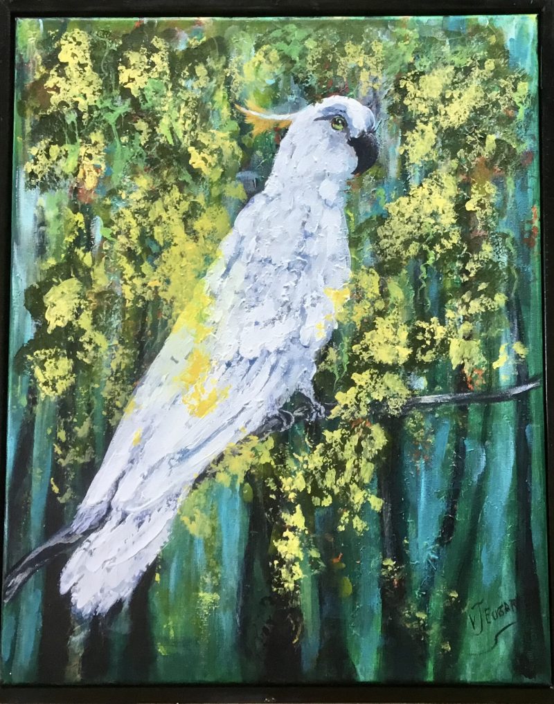 White Cockatoo