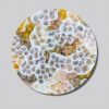Bio Sphere Cluster Vii Pale Grey Backg