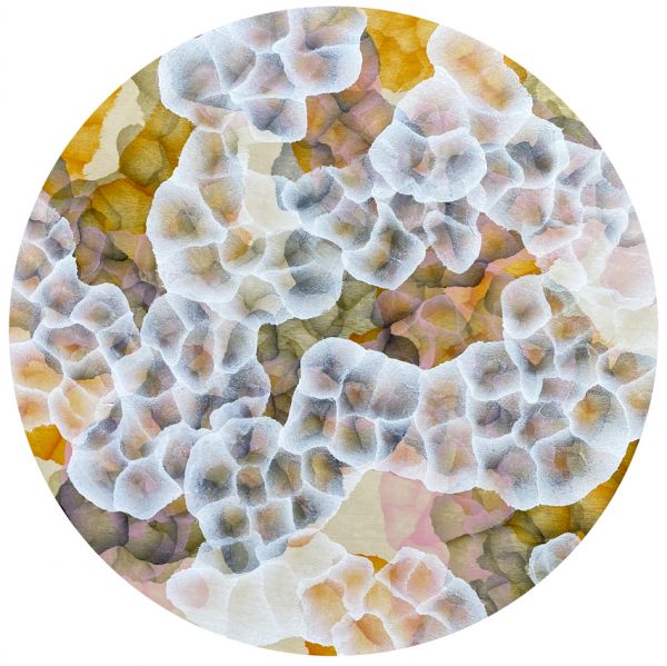 Bio Sphere Cluster Xi Transparent Back E