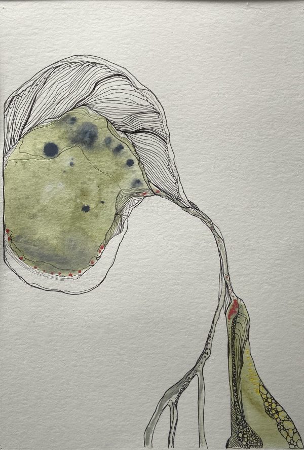 D44019cf B6ba 4564 A160 350cef3ae3f4