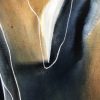 Illusions (details 2)